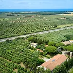 Antichi Palmenti - Erica *