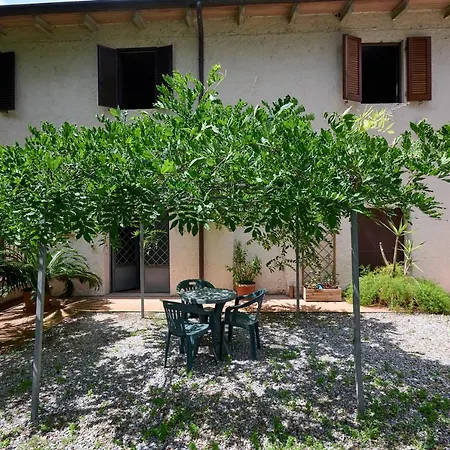 Antichi Palmenti - Erica San Vincenzo