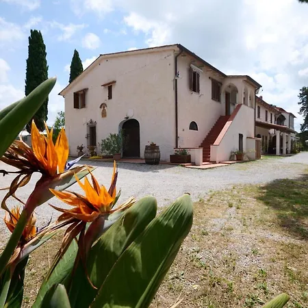 Antichi Palmenti - Erica Farm stay San Vincenzo