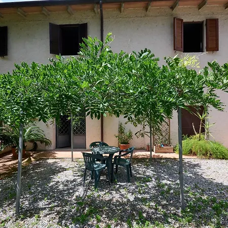 Antichi Palmenti - Erica San Vincenzo