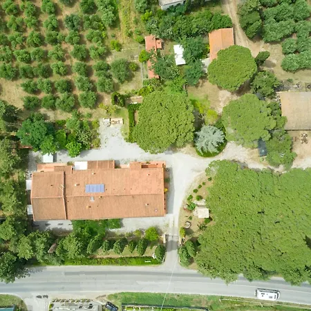 Antichi Palmenti - Erica San Vincenzo